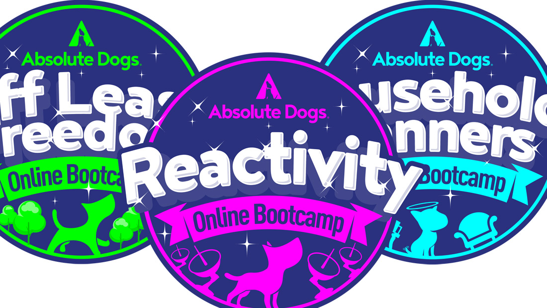 Online workshops completed for Absolute Dogs