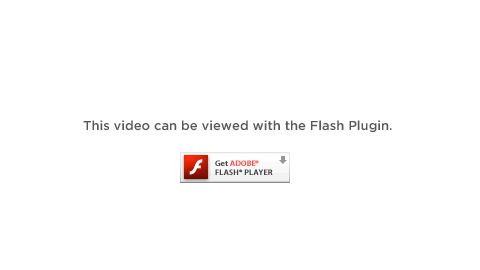 click to go to adobe.com to download the latest flash player